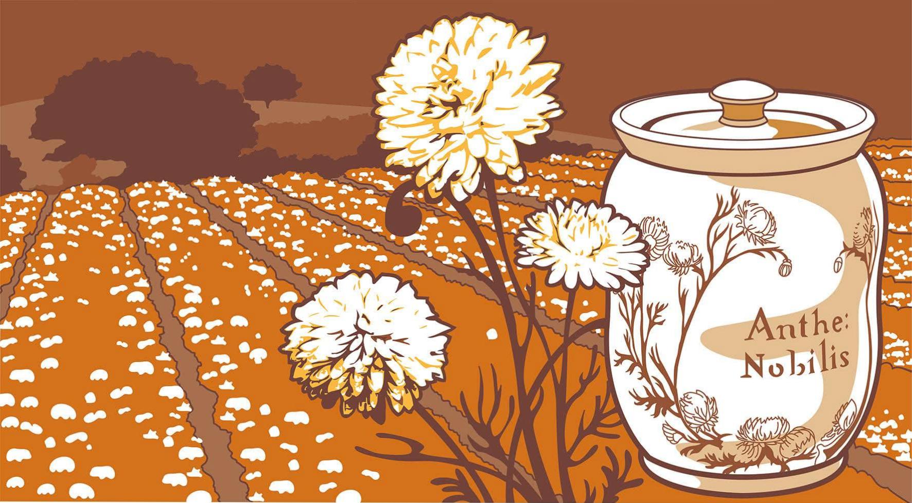 Photo du panneau : Chemillé