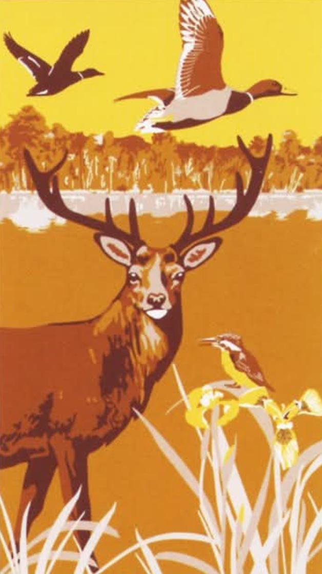 Photo du panneau : Sologne